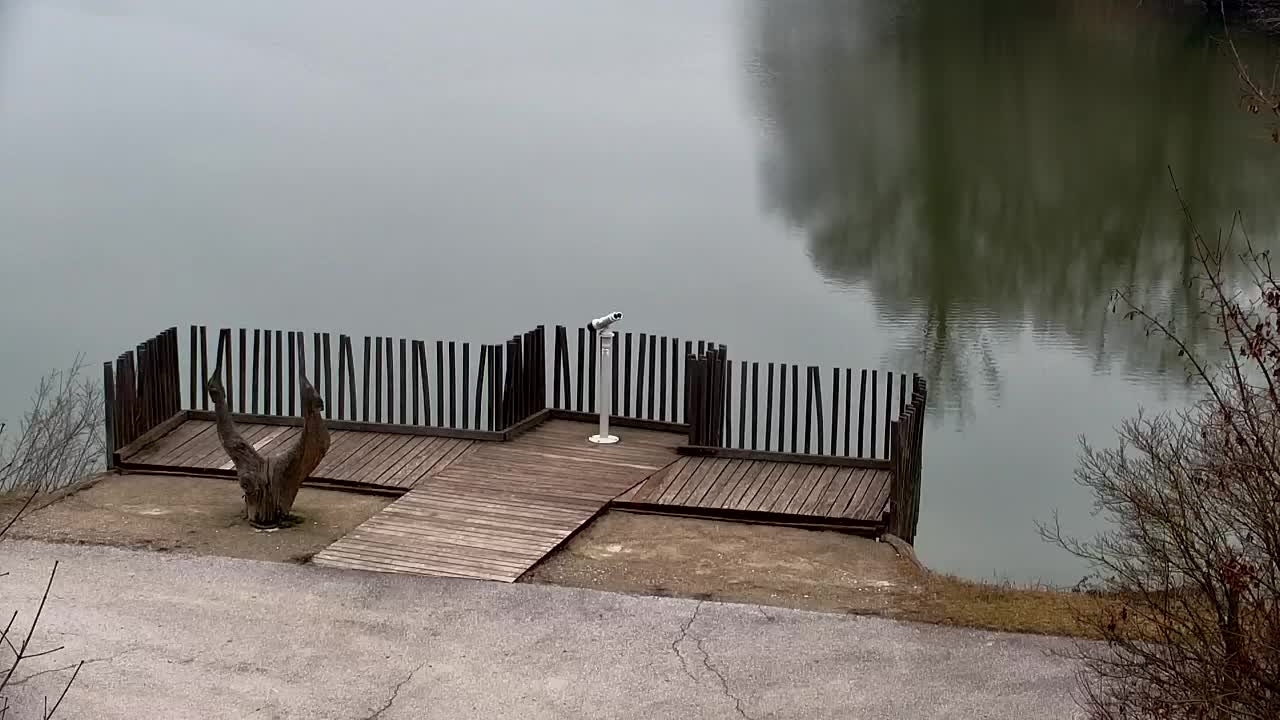 Spletna kamera Ribnik Vrbje – Žalec