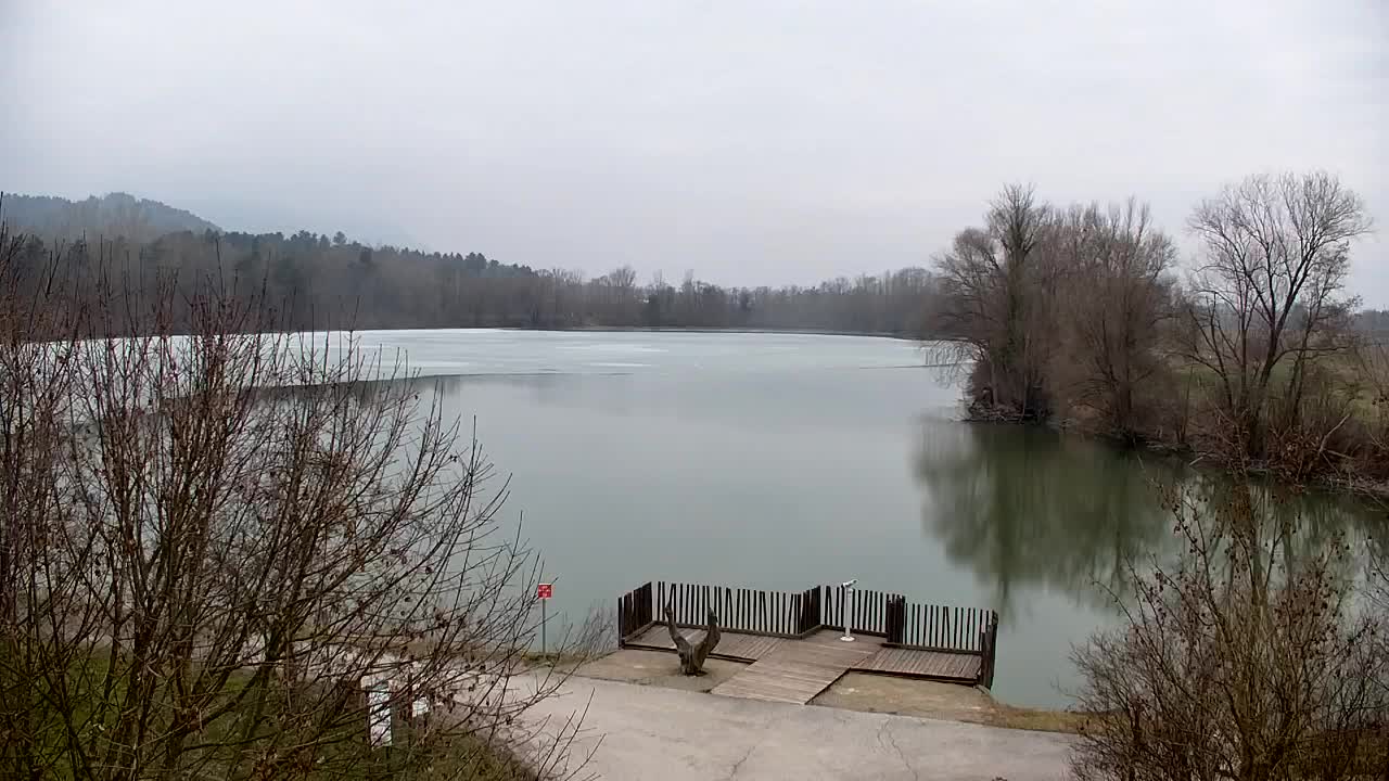 Spletna kamera Ribnik Vrbje – Žalec