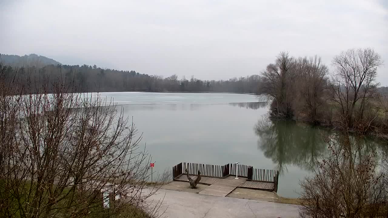 Webcam Ribnik Vrbje – Žalec