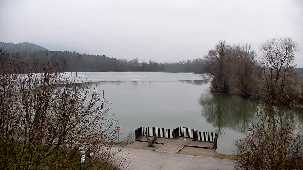 Webcam Ribnik Vrbje – Žalec