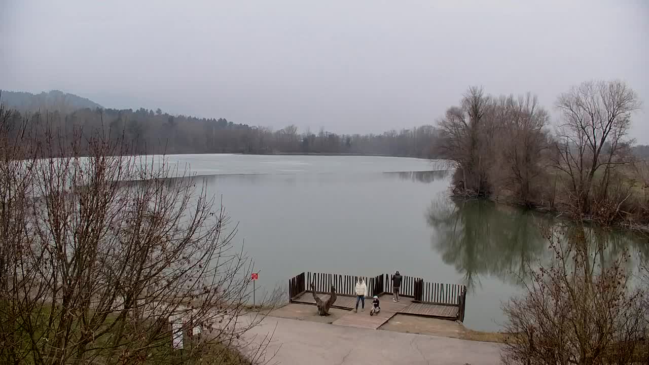 Webcam Ribnik Vrbje – Žalec