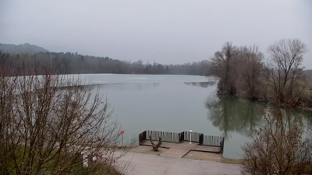 Webcam Ribnik Vrbje – Žalec