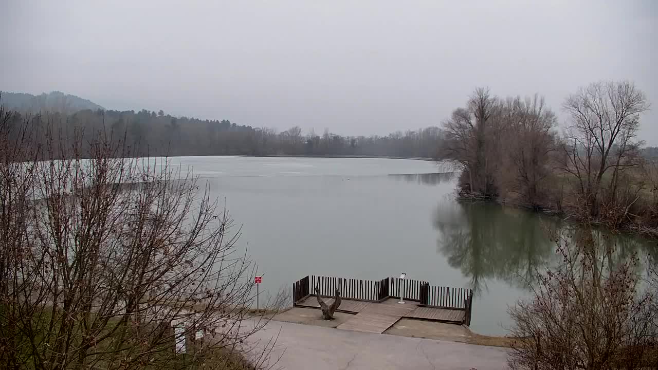 Webcam Ribnik Vrbje – Žalec