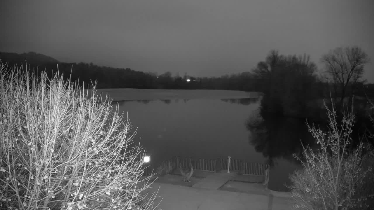 Webcam Ribnik Vrbje – Žalec