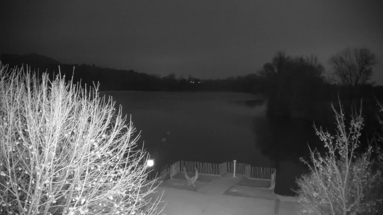 Webcam Ribnik Vrbje – Žalec