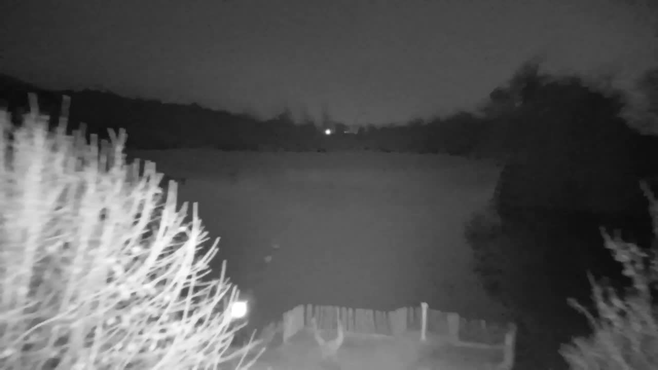 Webcam Ribnik Vrbje – Žalec