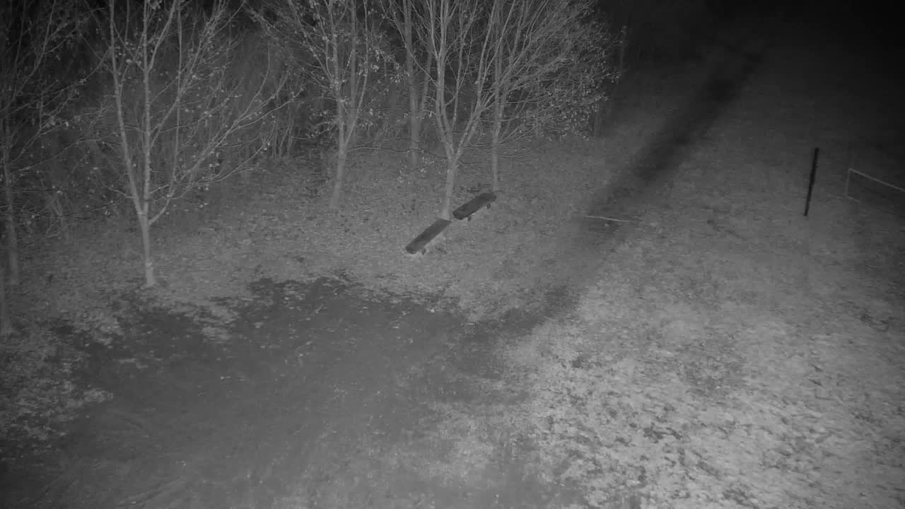 Webcam Ribnik Vrbje – Žalec