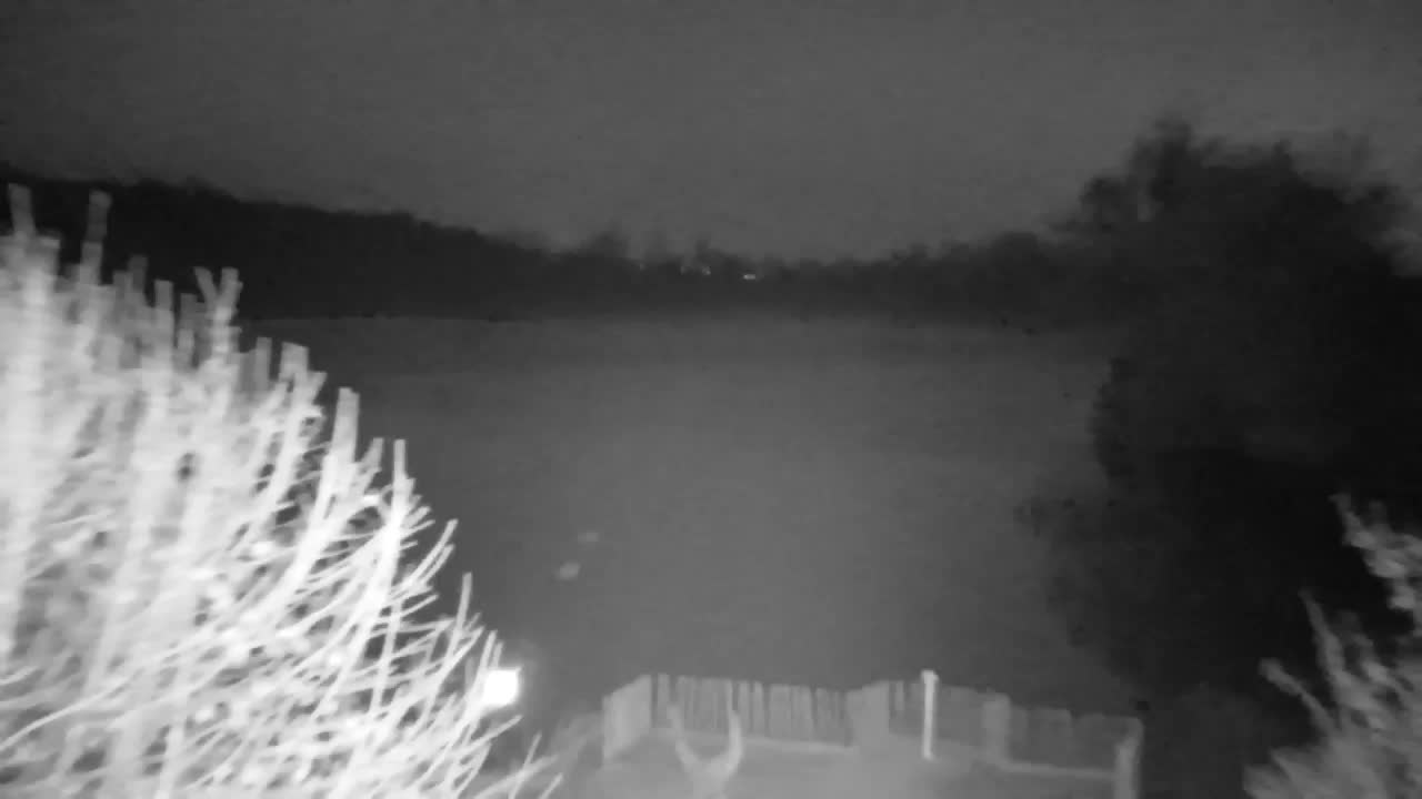 Web kamera Ribnik Vrbje – Žalec