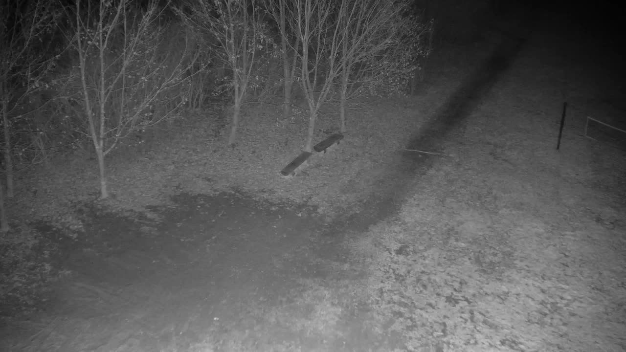 Webcam Ribnik Vrbje – Žalec