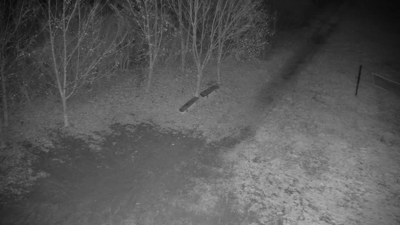 Webcam Ribnik Vrbje – Žalec