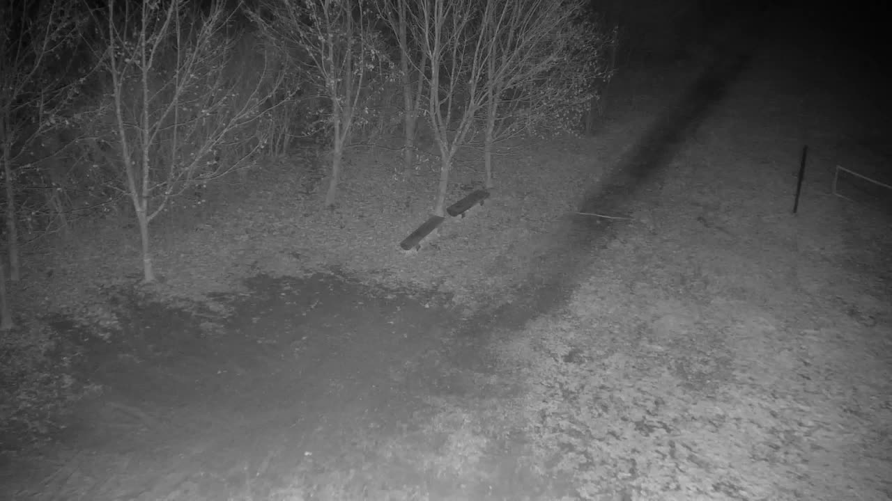 Webcam Ribnik Vrbje – Žalec