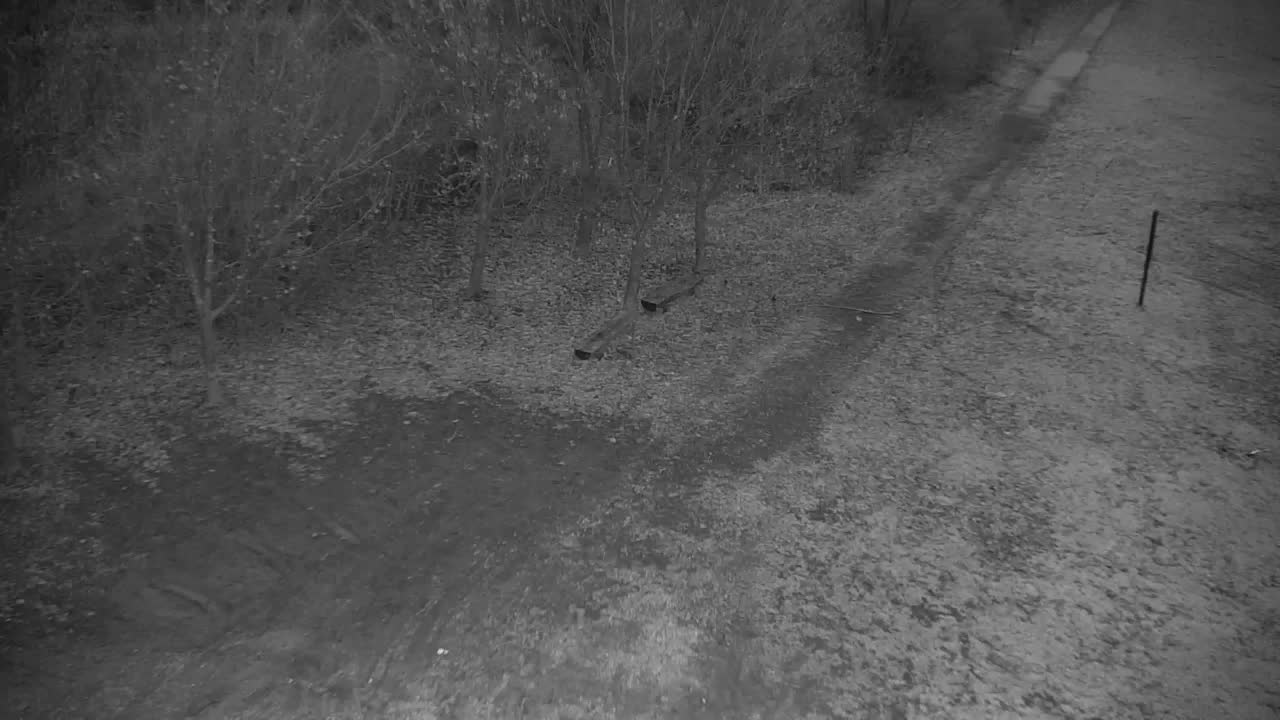 Webcam Ribnik Vrbje – Žalec