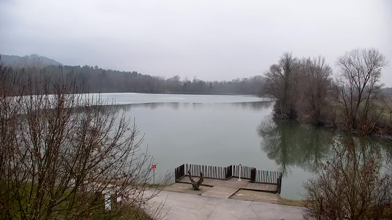 Webcam Ribnik Vrbje – Žalec