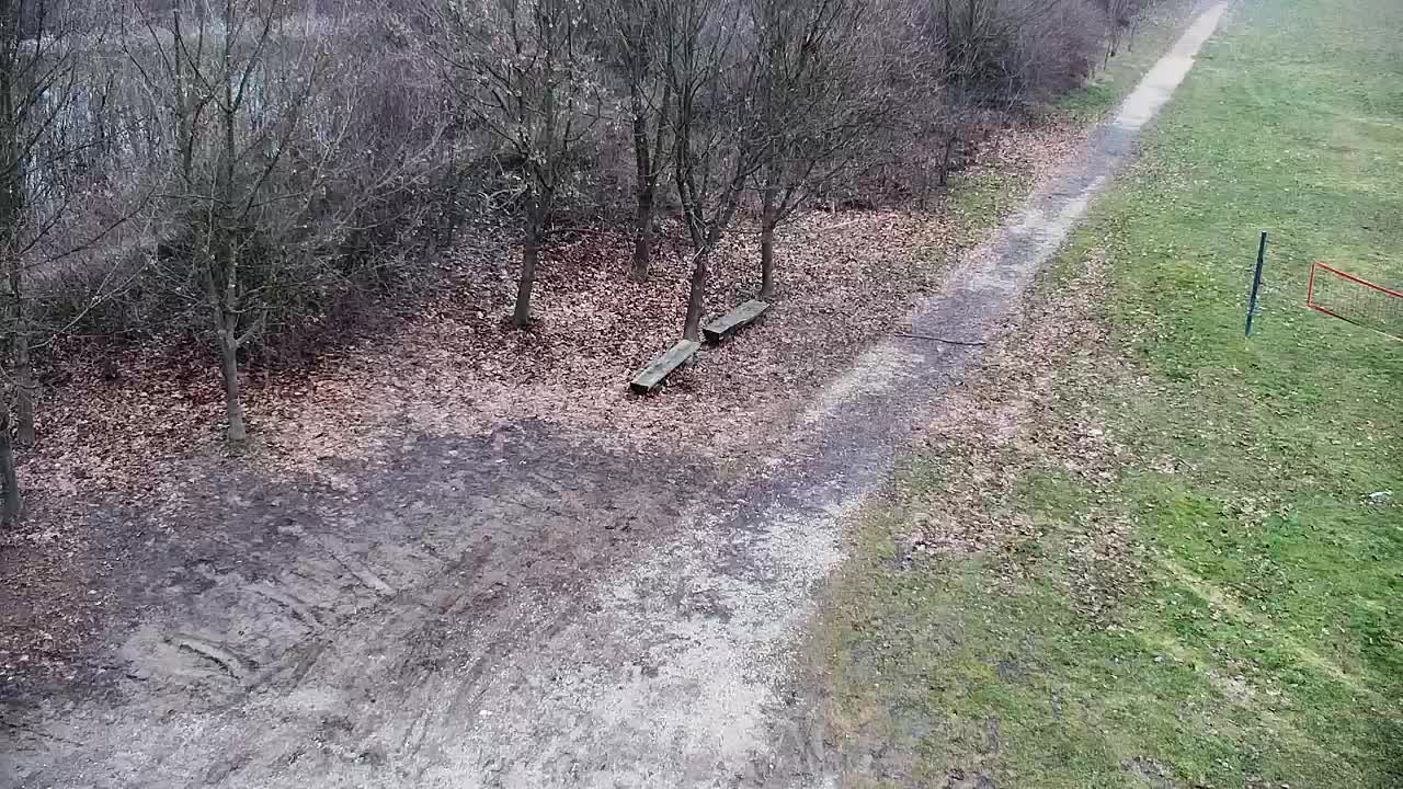 Webcam Ribnik Vrbje – Žalec