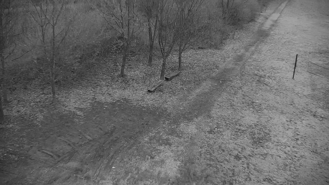 Webcam Ribnik Vrbje – Žalec