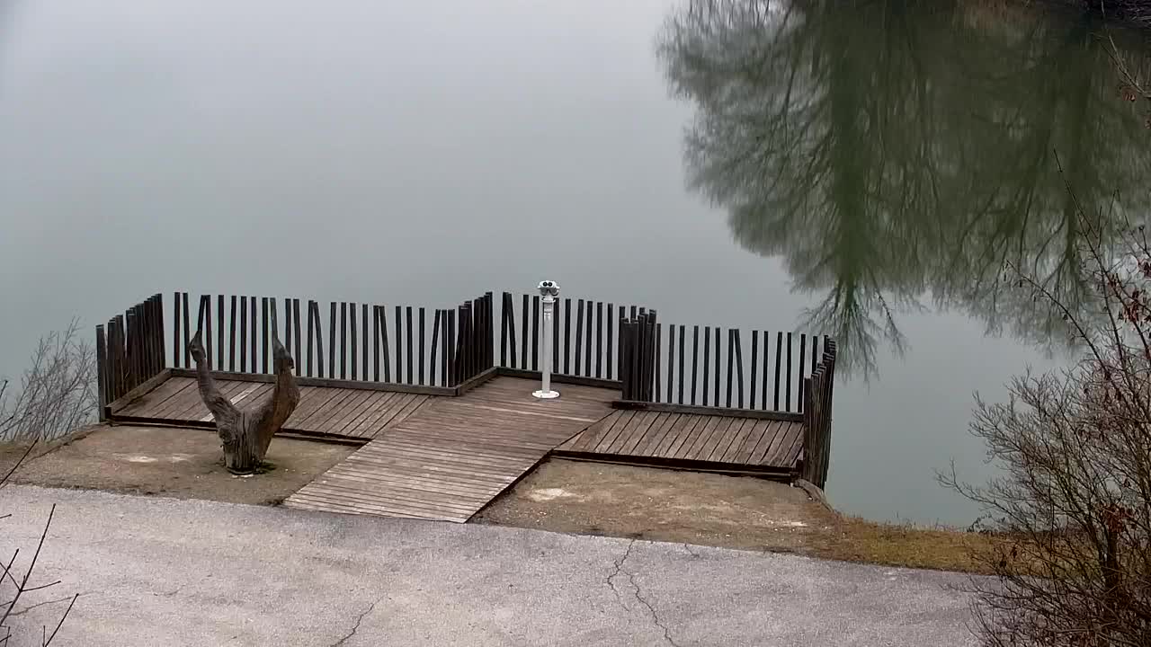 Webcam Ribnik Vrbje – Žalec