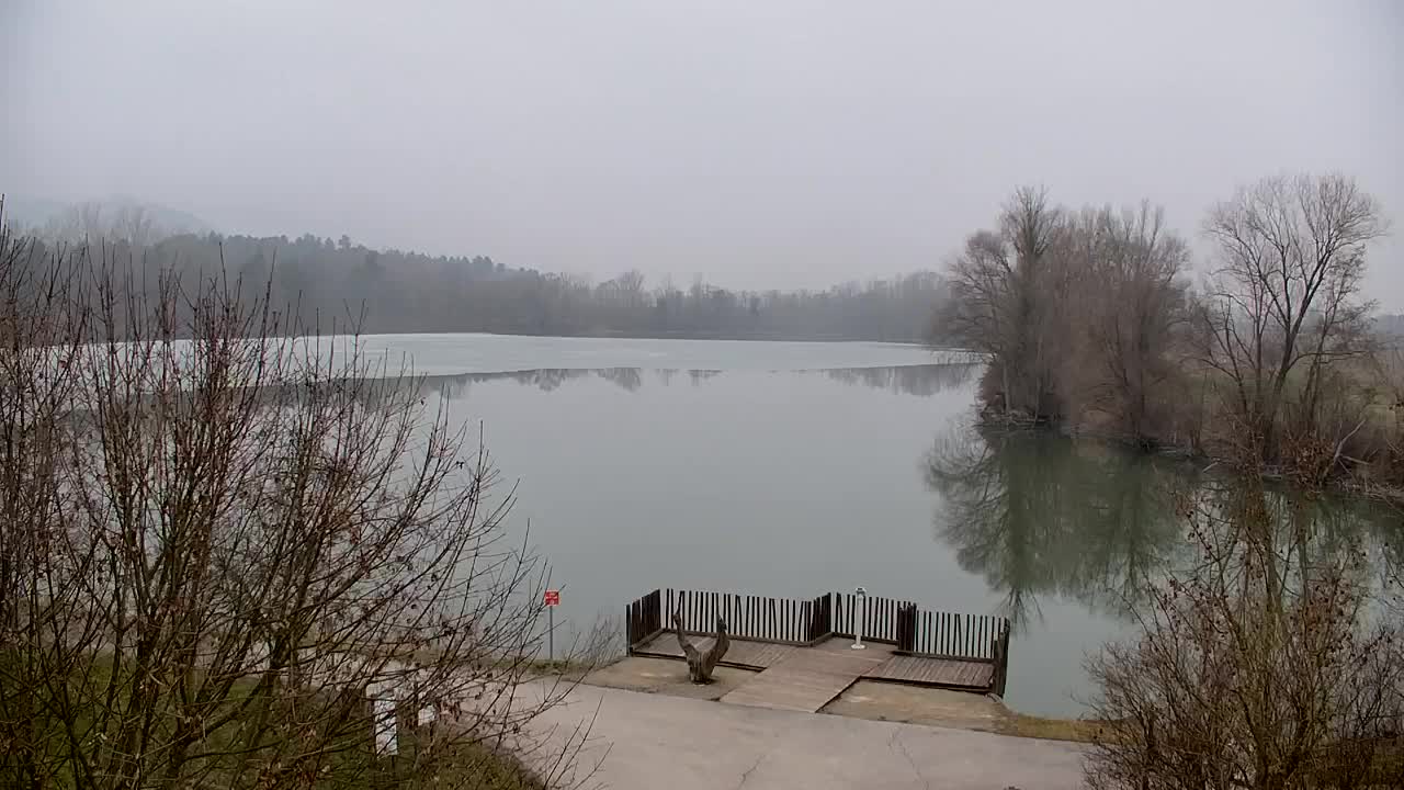 Spletna kamera Ribnik Vrbje – Žalec