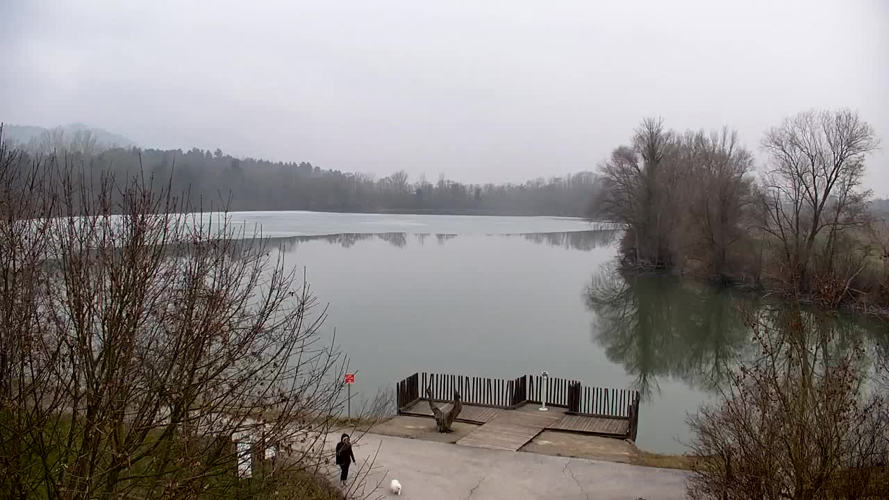 Webcam Ribnik Vrbje – Žalec