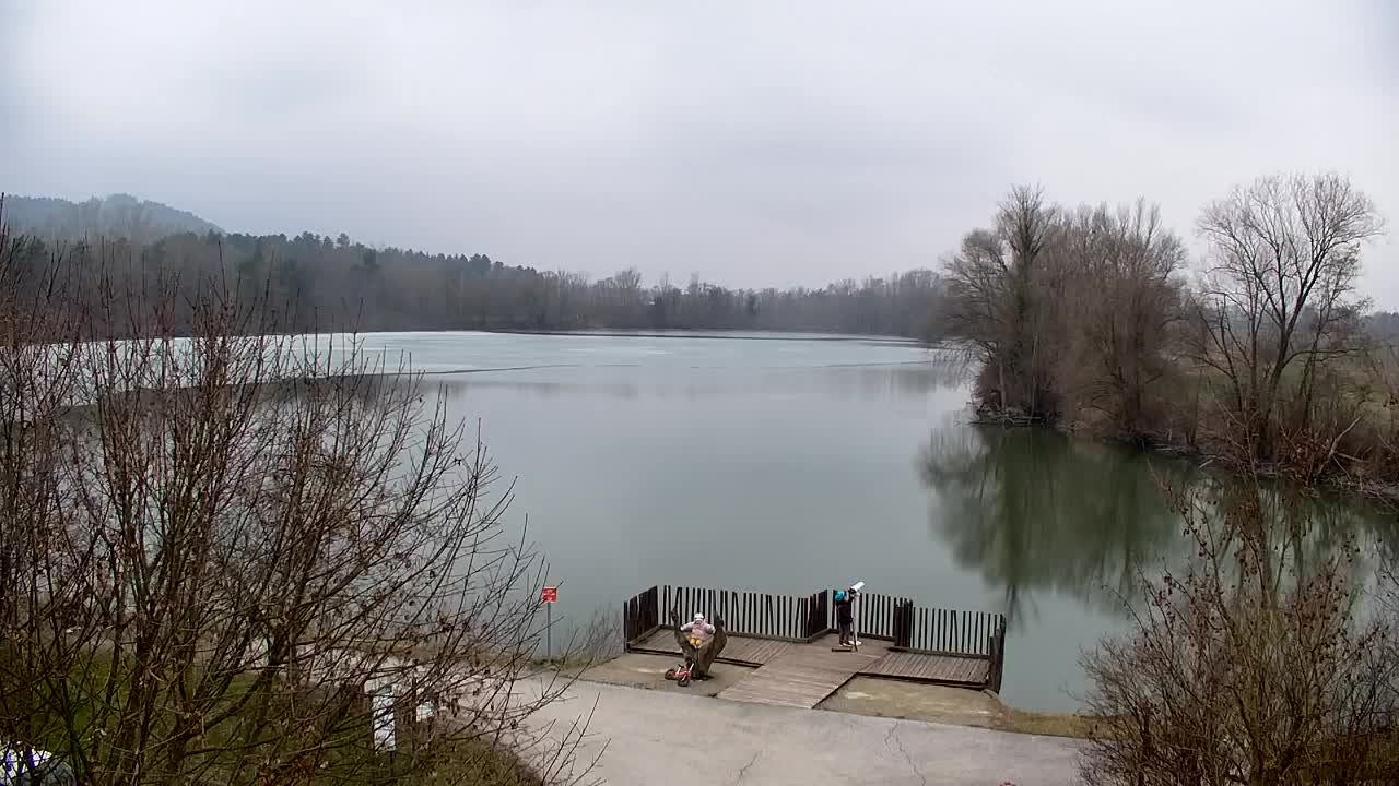 Webcam Ribnik Vrbje – Žalec