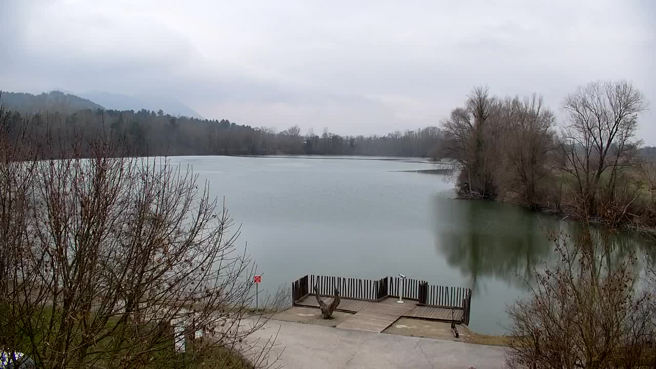 Webcam Ribnik Vrbje – Žalec