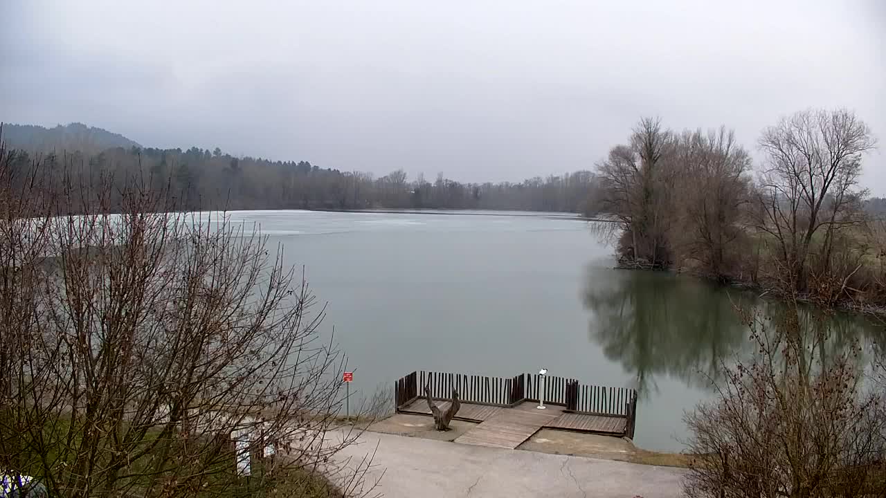 Webcam Ribnik Vrbje – Žalec