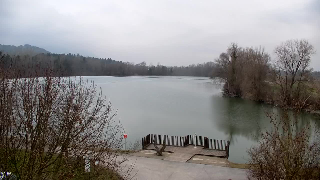 Webcam Ribnik Vrbje – Žalec