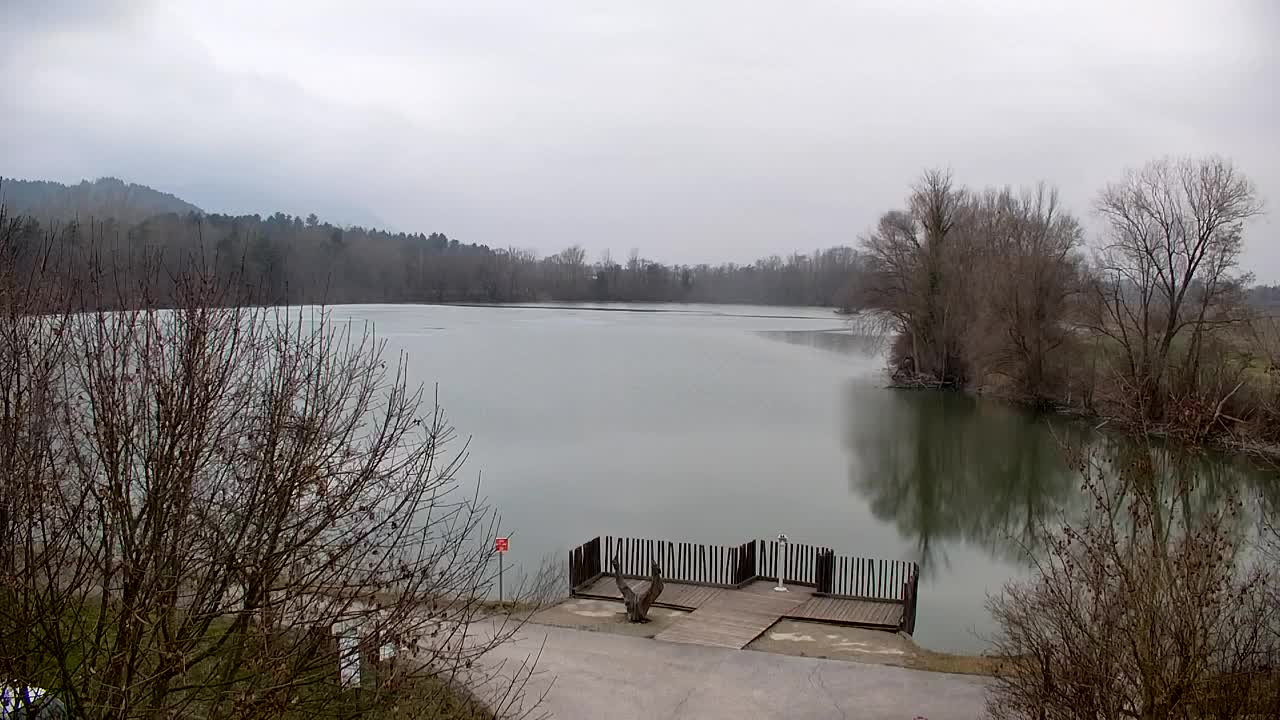 Web kamera Ribnik Vrbje – Žalec