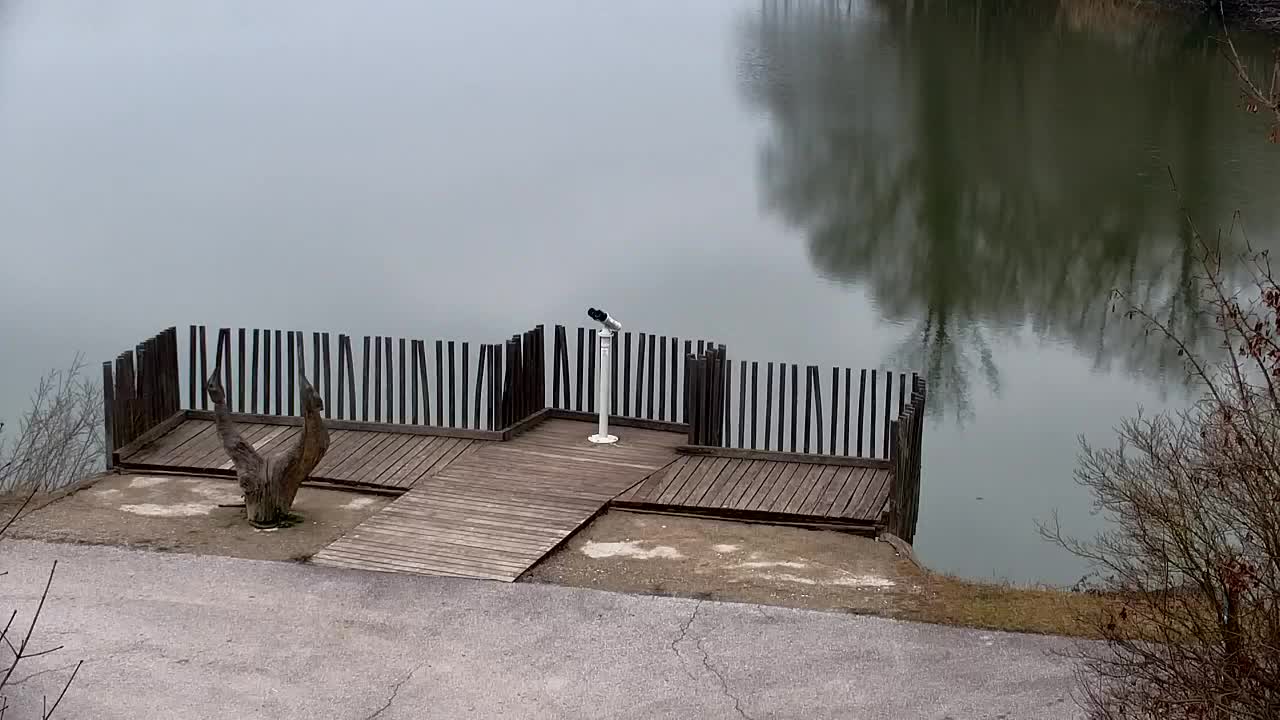 Webcam Ribnik Vrbje – Žalec