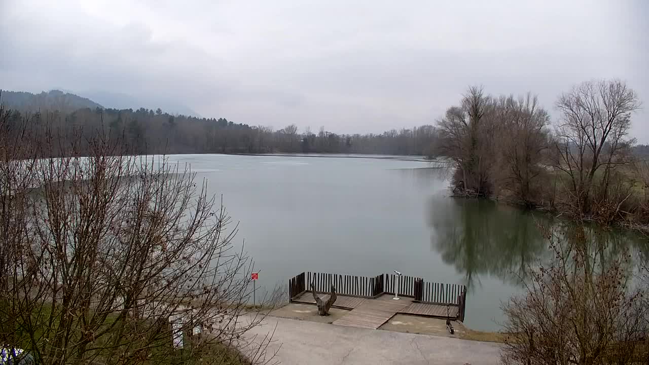 Spletna kamera Ribnik Vrbje – Žalec