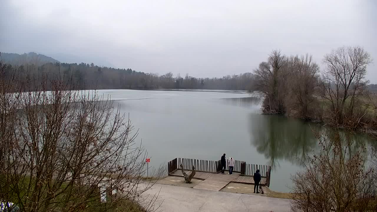 Webcam Ribnik Vrbje – Žalec