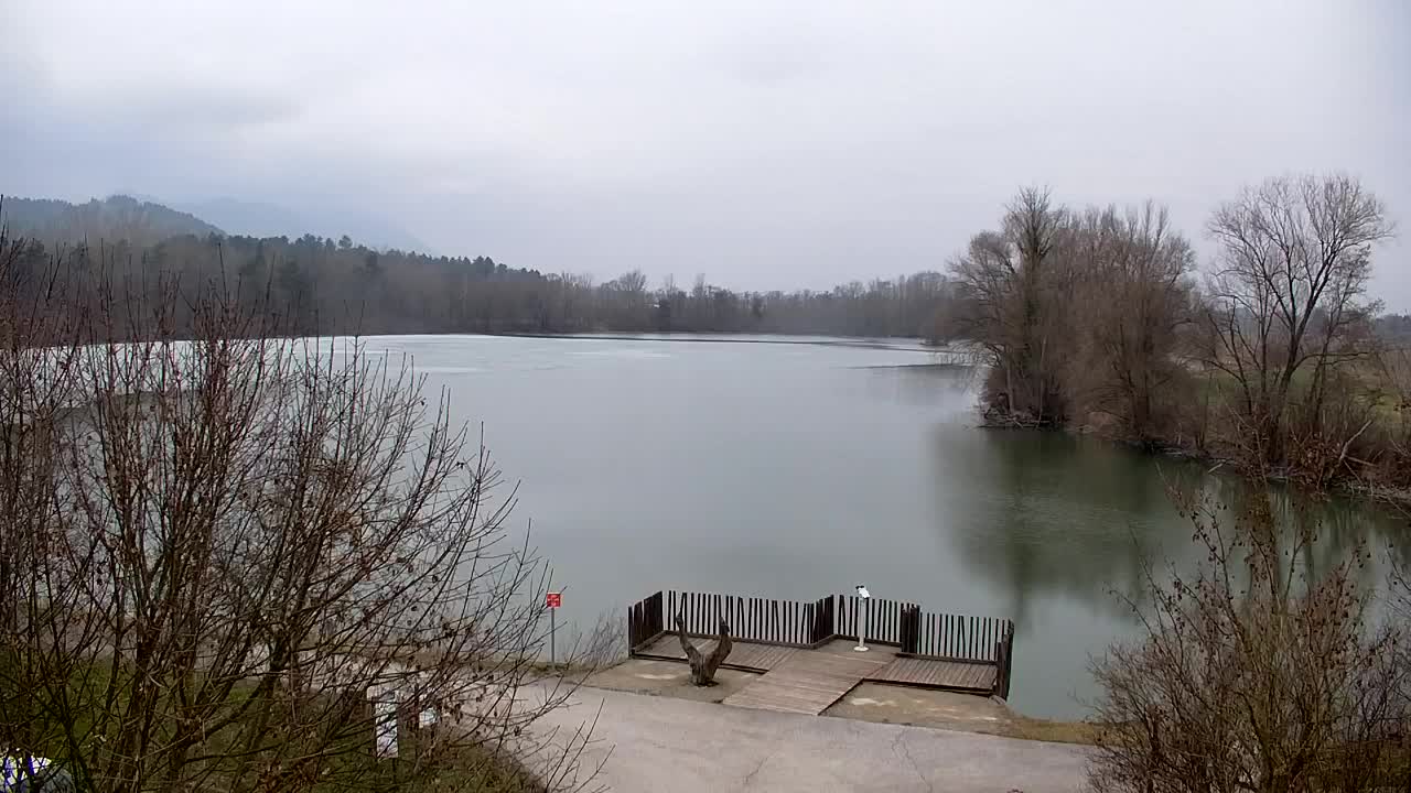 Webcam Ribnik Vrbje – Žalec