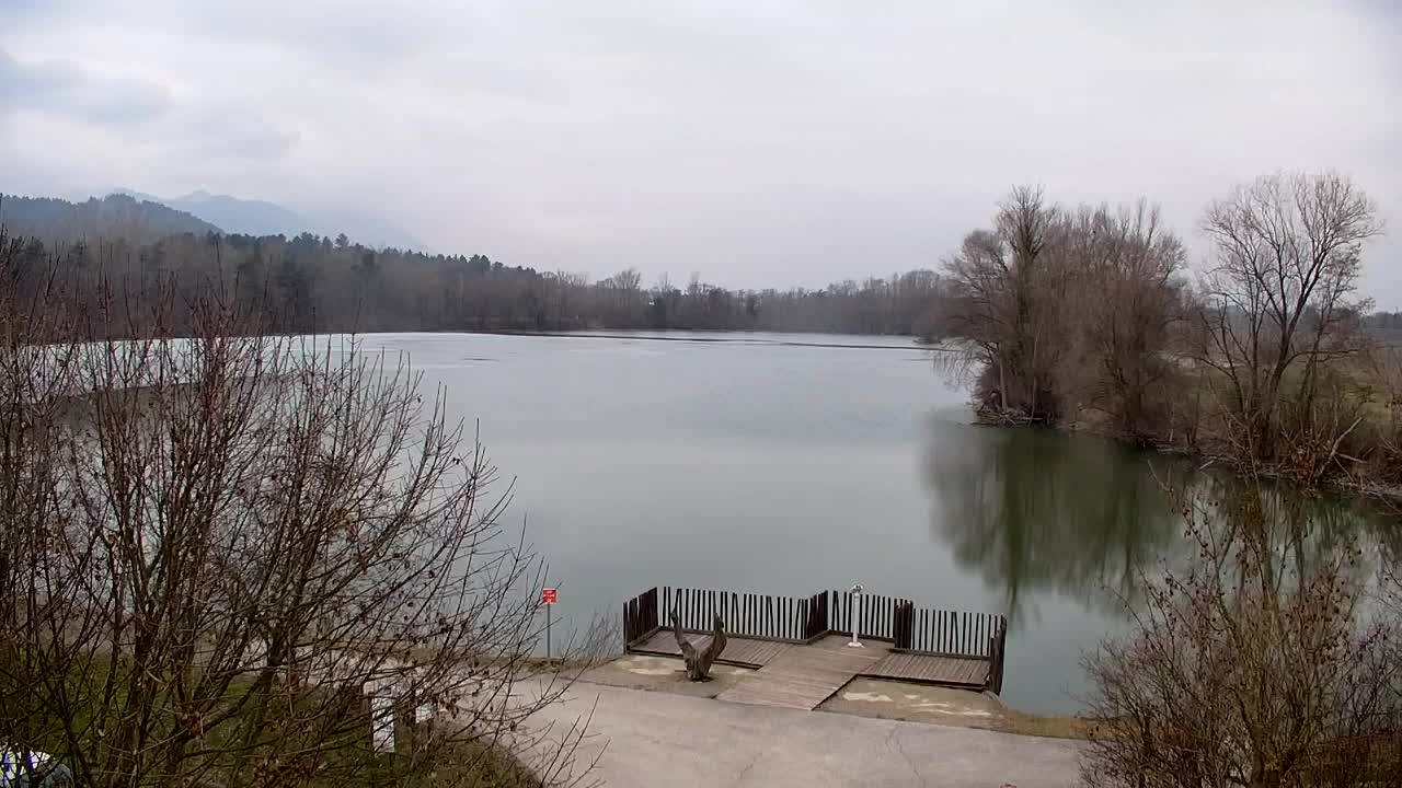 Web kamera Ribnik Vrbje – Žalec