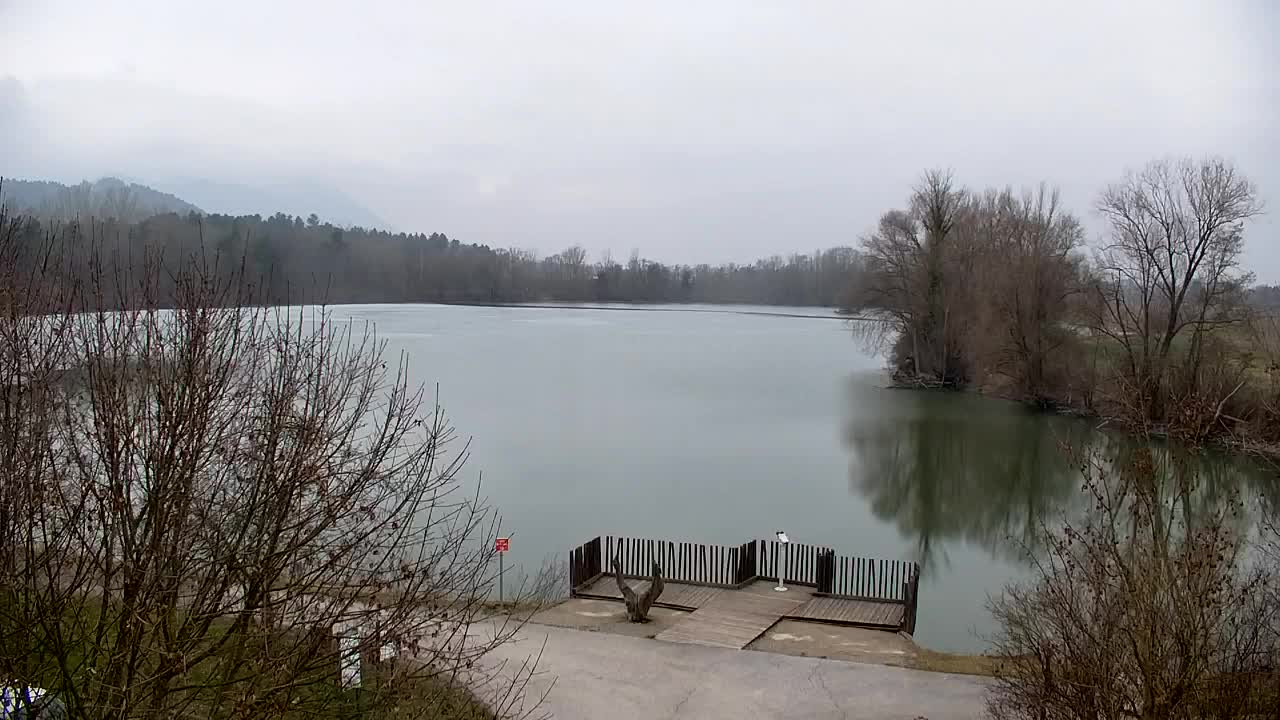 Webcam Ribnik Vrbje – Žalec