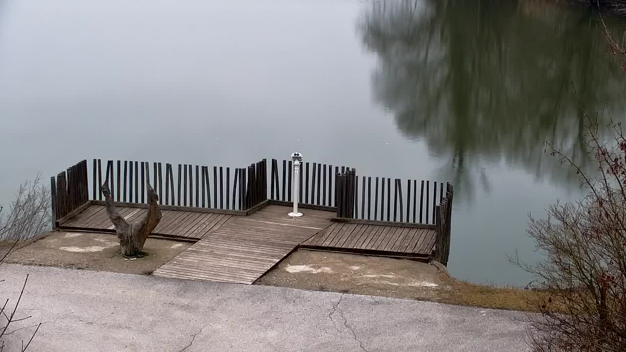 Webcam Ribnik Vrbje – Žalec