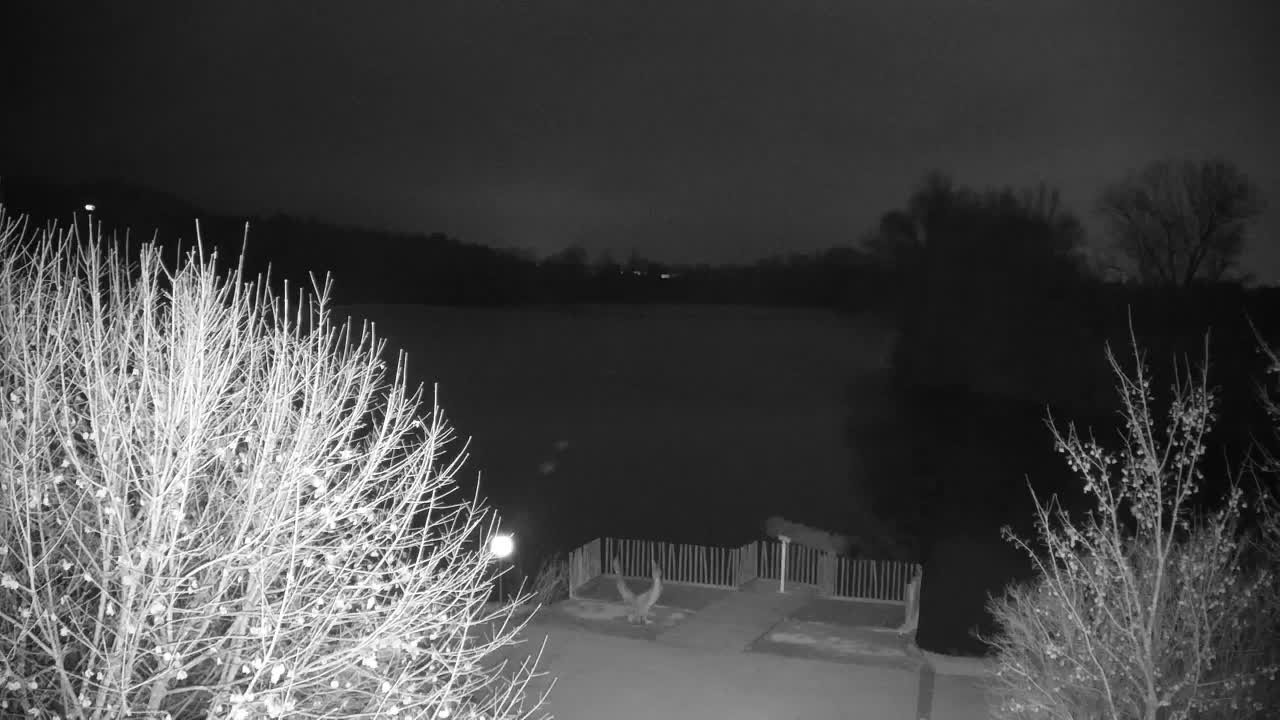 Webcam Ribnik Vrbje – Žalec