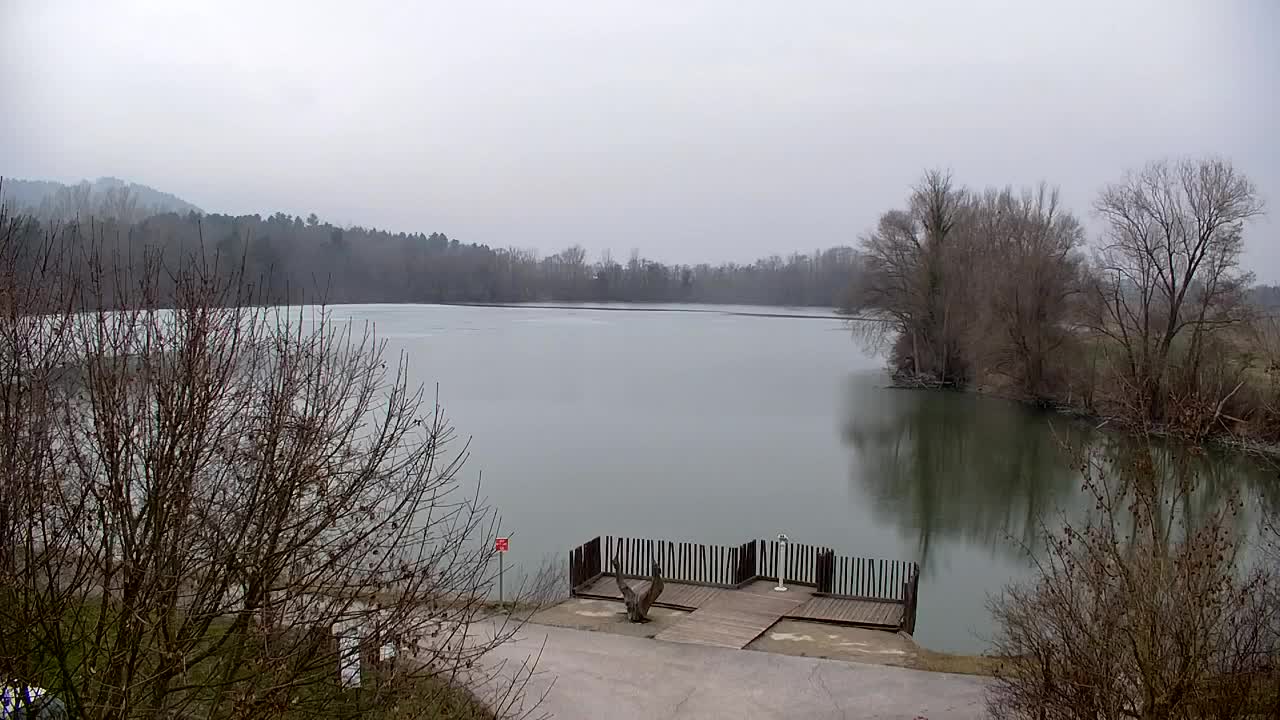 Webcam Ribnik Vrbje – Žalec