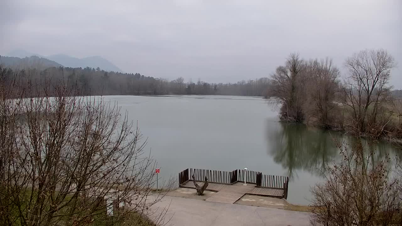 Webcam Ribnik Vrbje – Žalec