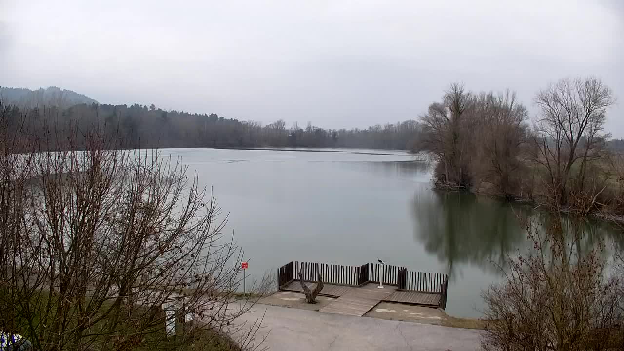 Webcam Ribnik Vrbje – Žalec