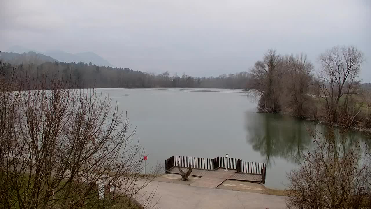 Webcam Ribnik Vrbje – Žalec