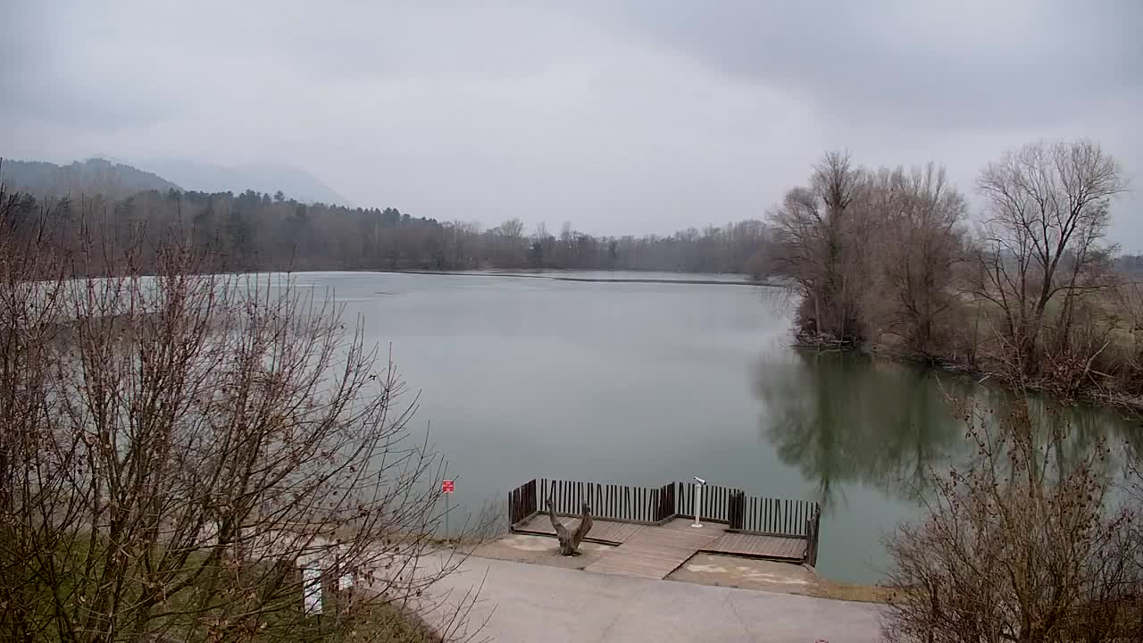 Webcam Ribnik Vrbje – Žalec