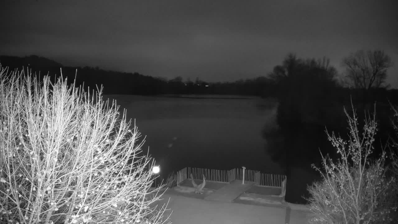 Webcam Ribnik Vrbje – Žalec