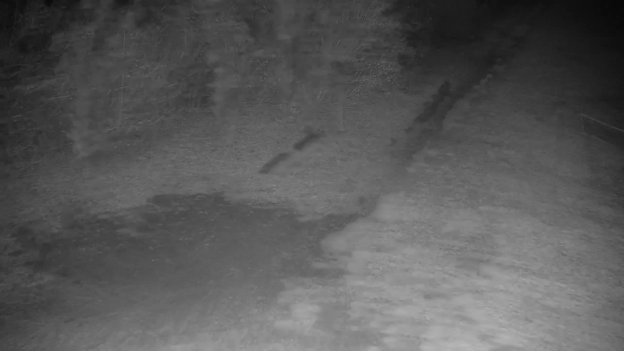 Webcam Ribnik Vrbje – Žalec