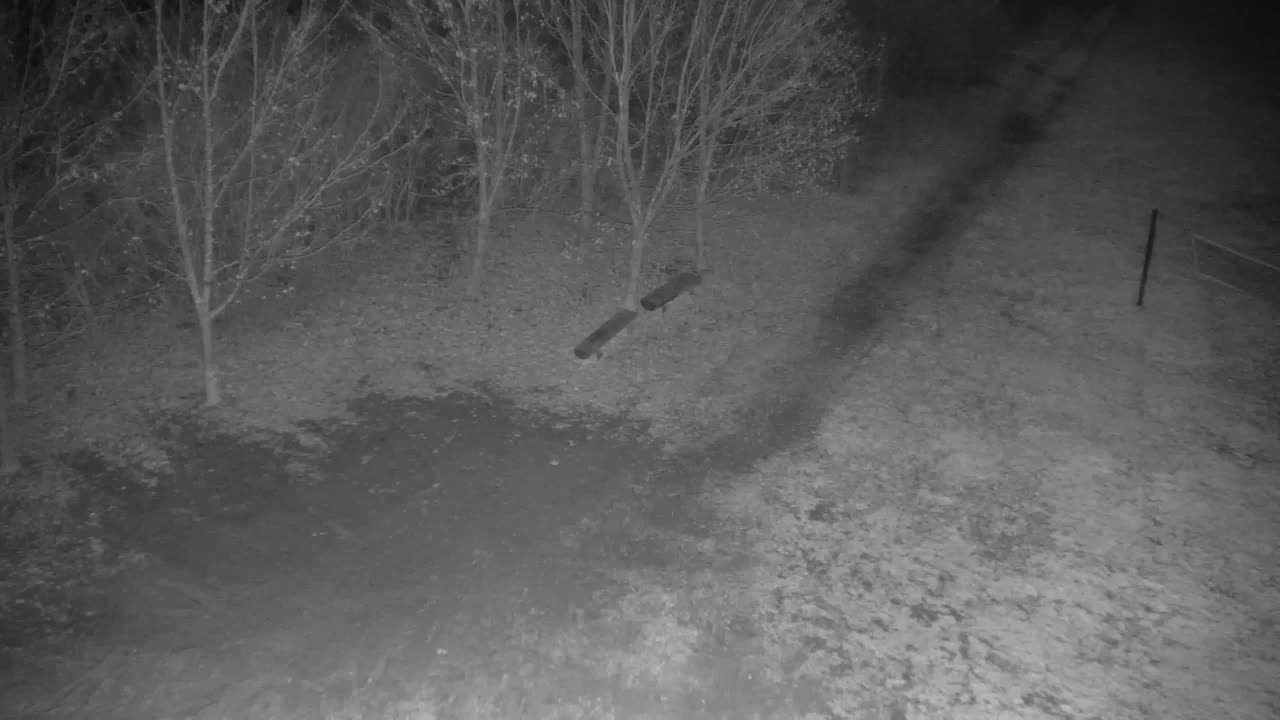 Webcam Ribnik Vrbje – Žalec