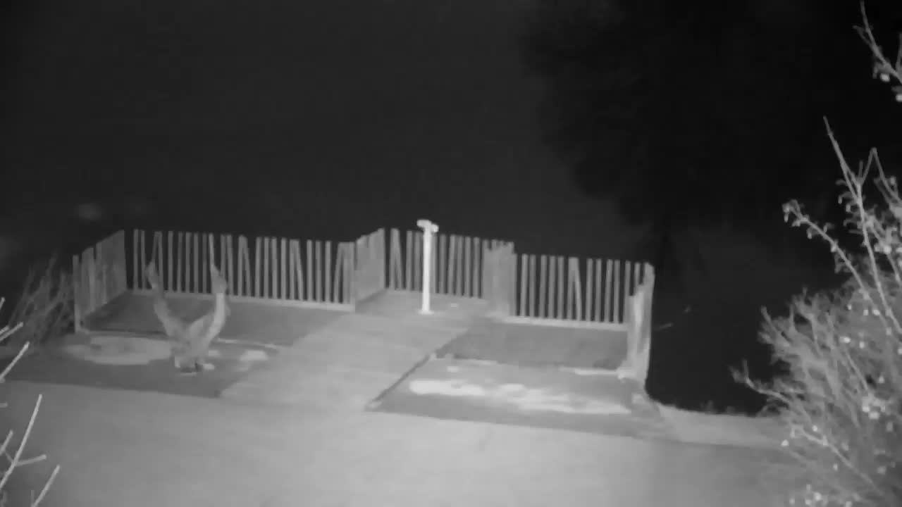 Webcam Ribnik Vrbje – Žalec