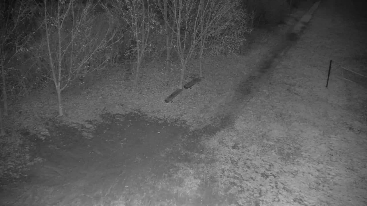 Webcam Ribnik Vrbje – Žalec