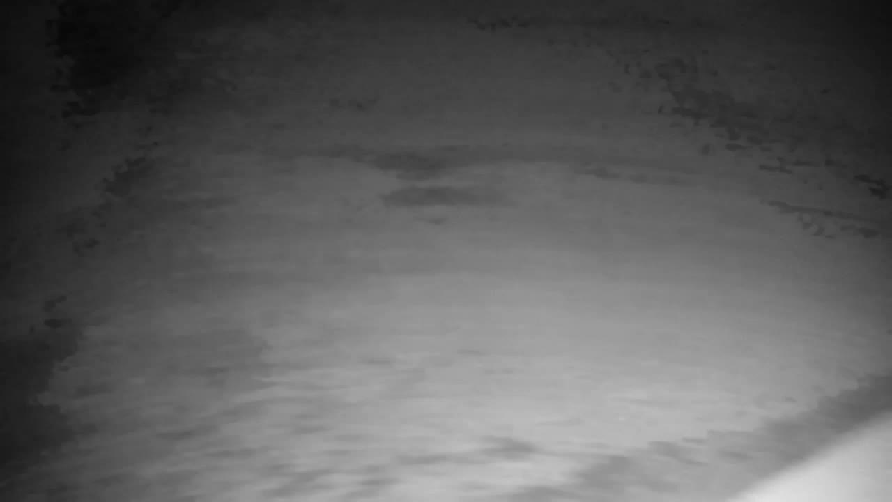 Webcam Ribnik Vrbje – Žalec