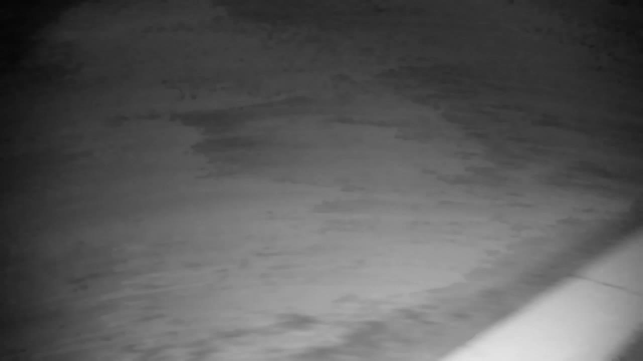 Webcam Ribnik Vrbje – Žalec