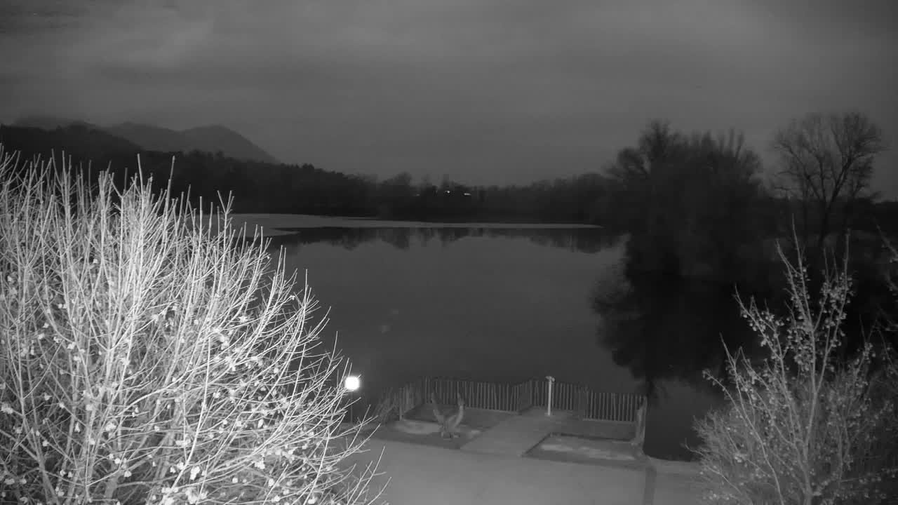 Web kamera Ribnik Vrbje – Žalec