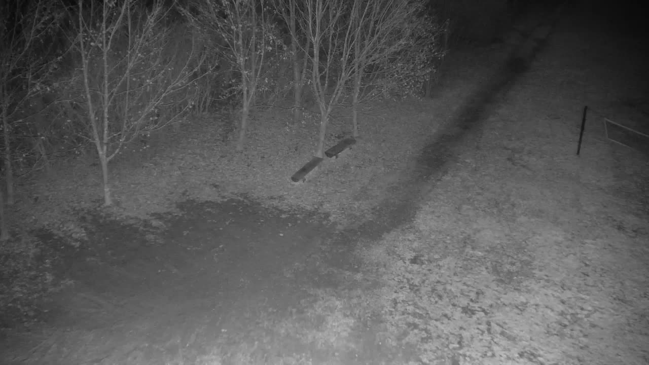 Webcam Ribnik Vrbje – Žalec