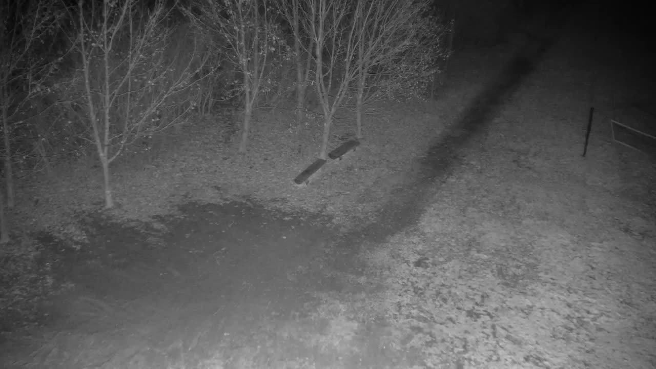 Webcam Ribnik Vrbje – Žalec